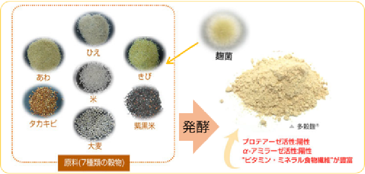 けんこうテーブル365 酵素