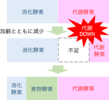 けんこうテーブル365 酵素