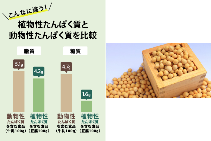 けんこうテーブル365 プロテイン